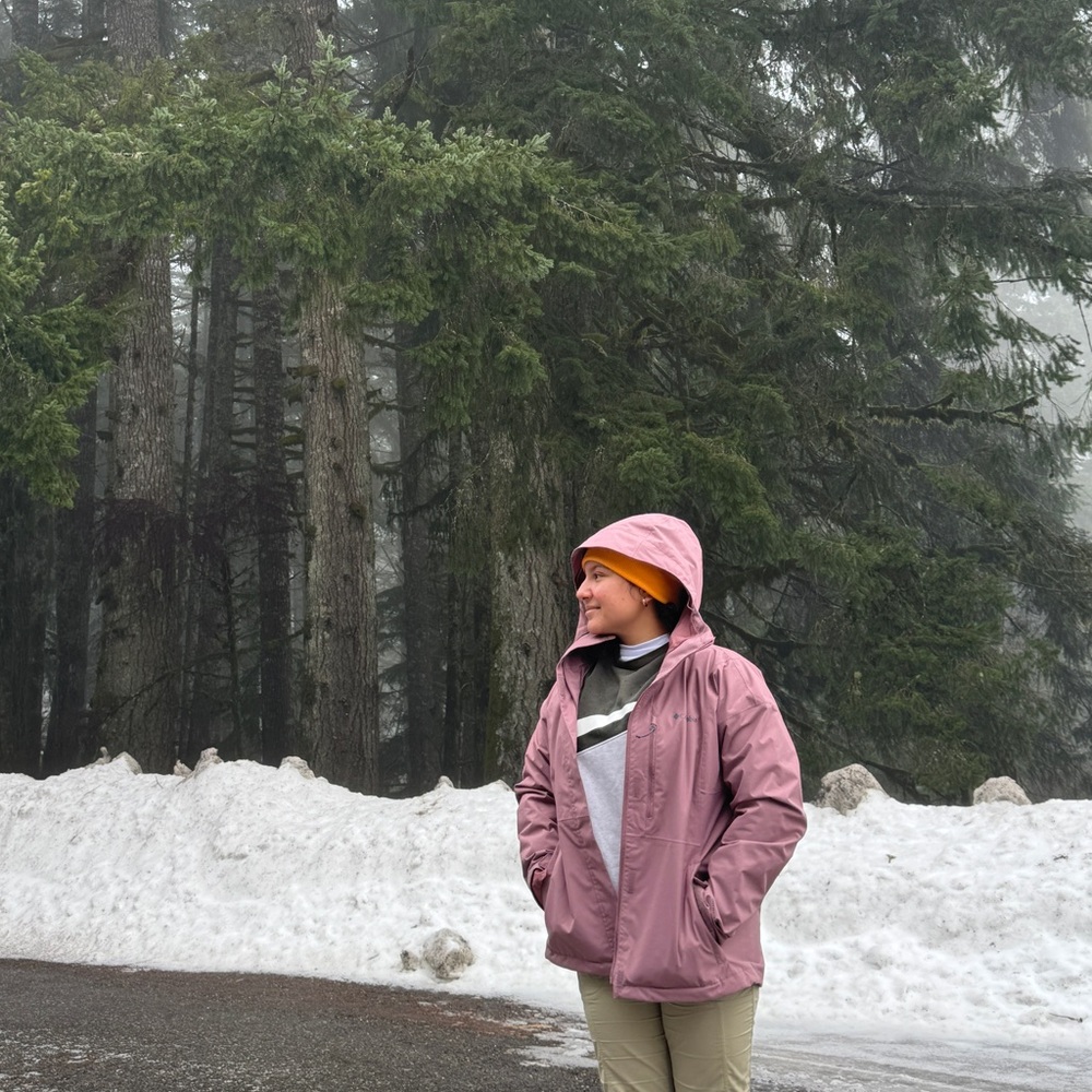 Columbia Fig Hooded Hiking Waterproof Jacket
Weather-Resistant